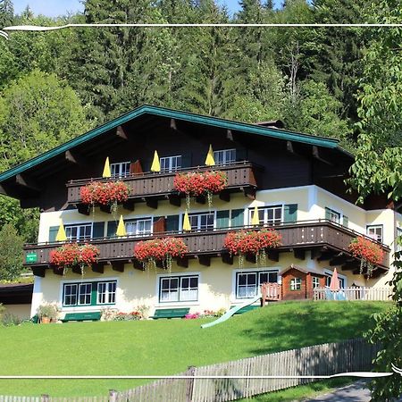ローファーHaus Bartlmaeアパートメント エクステリア 写真